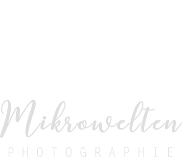 Fotografowie Mikrowelten w Rzeszów