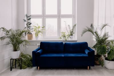 Studio fotograficzne JAK W STUDIO - Studio fotograficzne z naturalnym światłem w sosnowiec