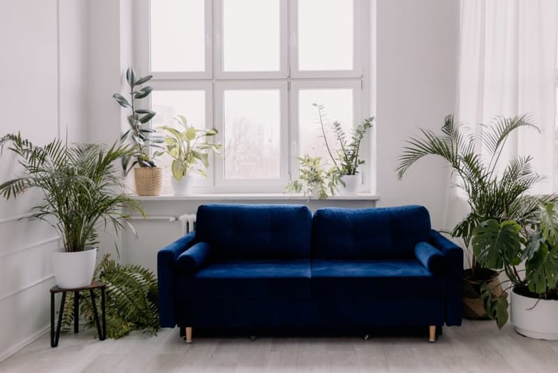 Studia Fotograficzne JAK W STUDIO - Studio fotograficzne z naturalnym światłem w Sosnowiec