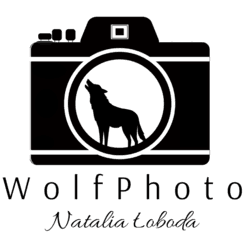 Studia Fotograficzne Studio fotograficzne WolfPhoto w Bydgoszcz