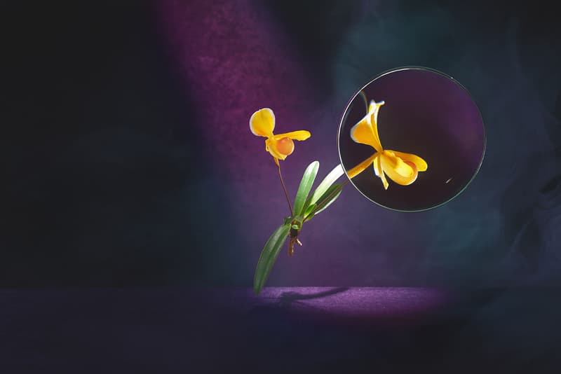 Fotografowie Studio Poniekąd - Fotografia Produktowa w Warszawa